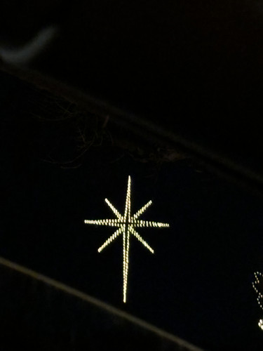 IMG 2919.jpg