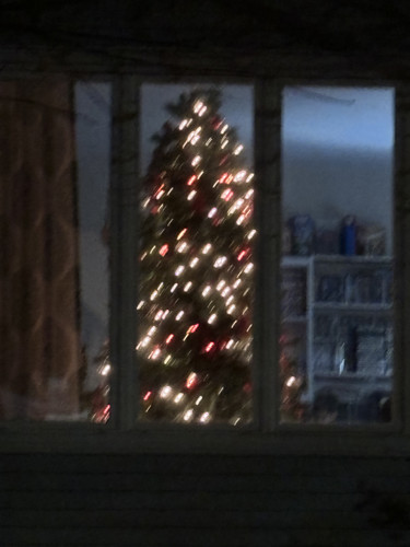 IMG 2920.jpg
