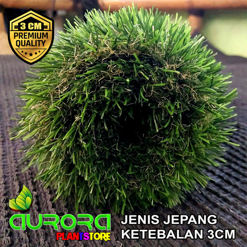 JEPANG 2.jpg