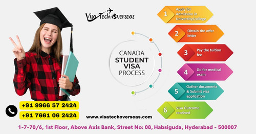 Visatechoverseas (1).jpg