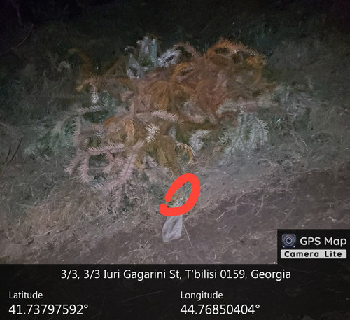 IMG 20231220 011437 945.jpg