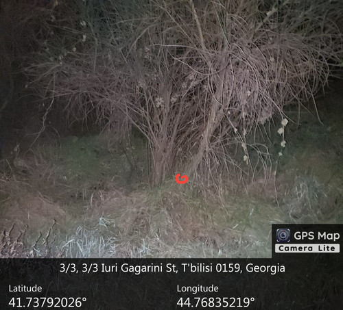 IMG 20231220 011444 979.jpg