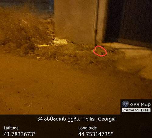 IMG 20231223 051703 095.jpg