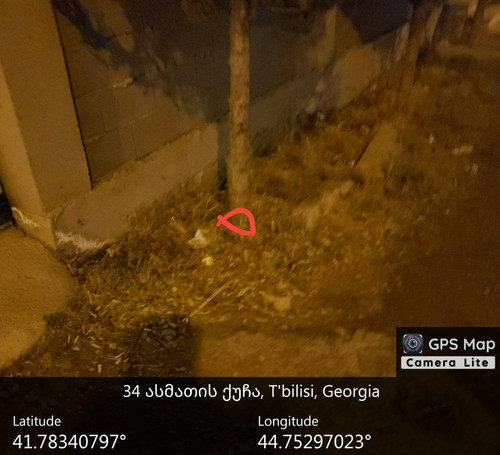 IMG 20231223 051705 017.jpg