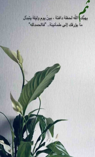 15178313 6A7A 4AEF B6CE 562250A4F6D5.jpg