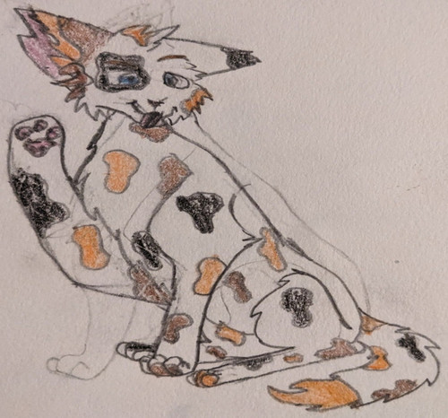 Screenshot 20230812 091921.jpg