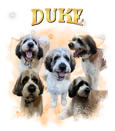 duke.png