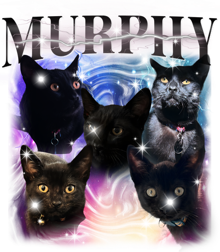 Murphy 1.png
