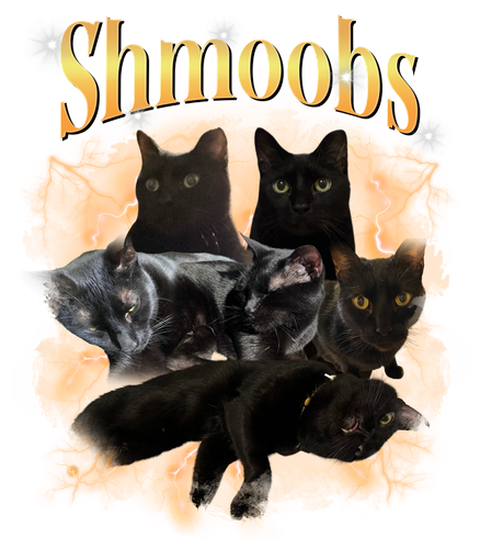 shmoods.png