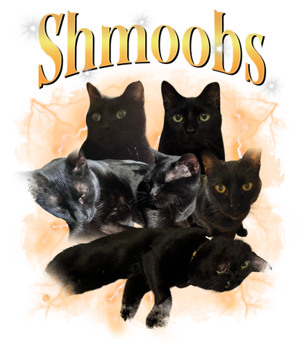 shmoods.png