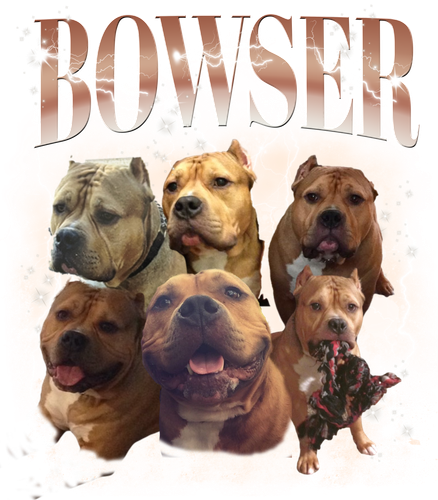 bowser.png