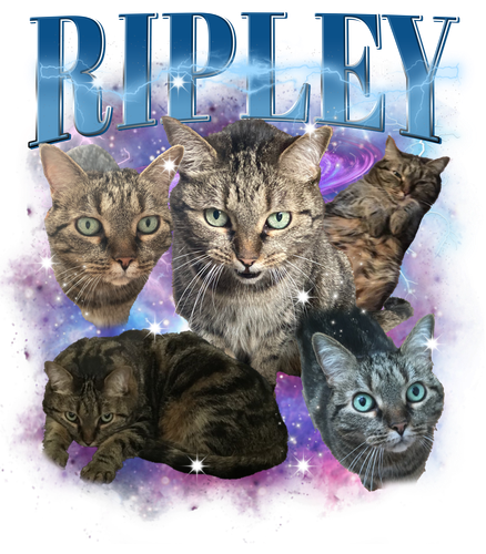 3149840016.png
