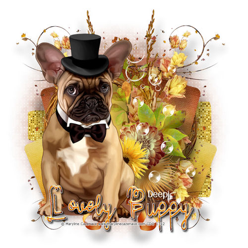 Maryline Cazenavelovelypuppydeepi