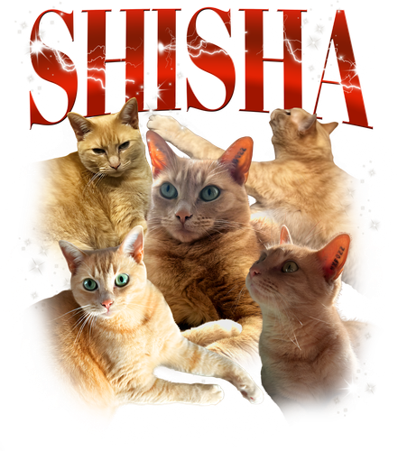 Shisha.png