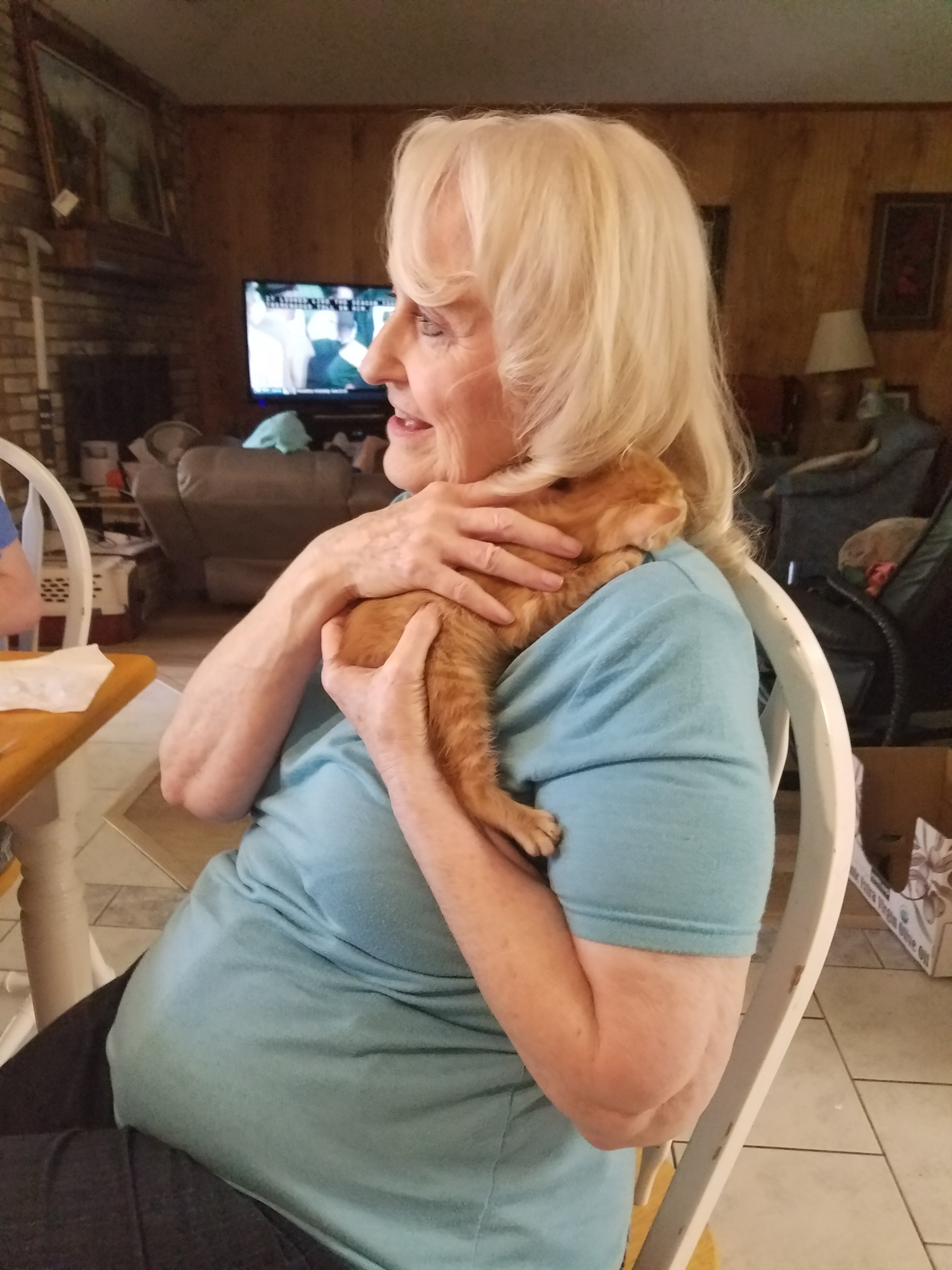 Since my sister moved and took her cats with her, my nana has missed ...