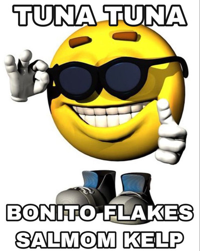 3CD00AF3 7B3C 4B4C 85A1 EA61BD7A72B3.jpg