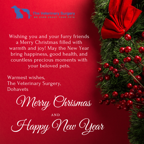 Chrismas and New Year.png