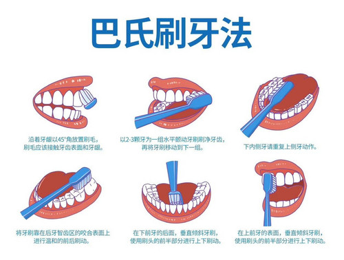 tmp images巴氏刷牙法.jpg