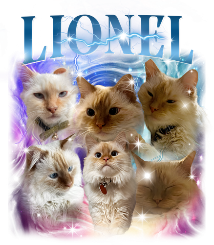 Lionel.png