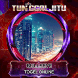 BULLSYE.gif