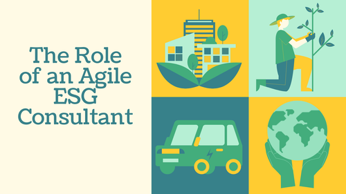 ESG Consultant.png