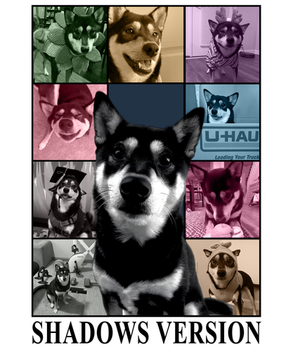 Shadows Version.png