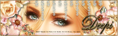 MILLION DOLLAR BABY BANNER DEEPI