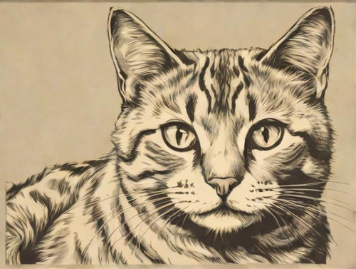 cat?model=turbo&width=1024&height=768&nologo=true&seed= 54883502976204.jpg
