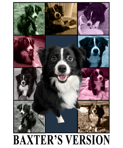 Baxter’s Version.png
