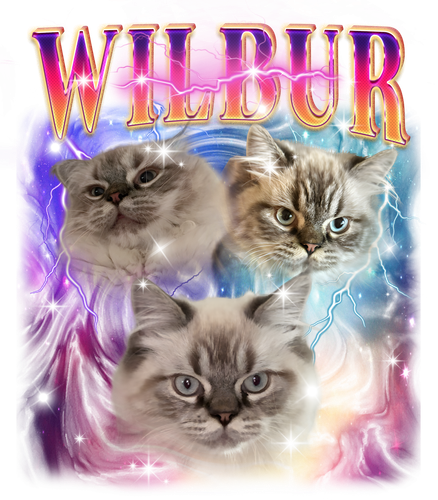 WILBUR.png