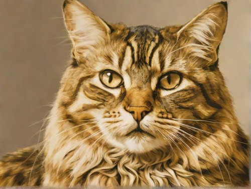 cat?model=turbo&width=1024&height=768&nologo=true&seed= 23600031281251.jpg