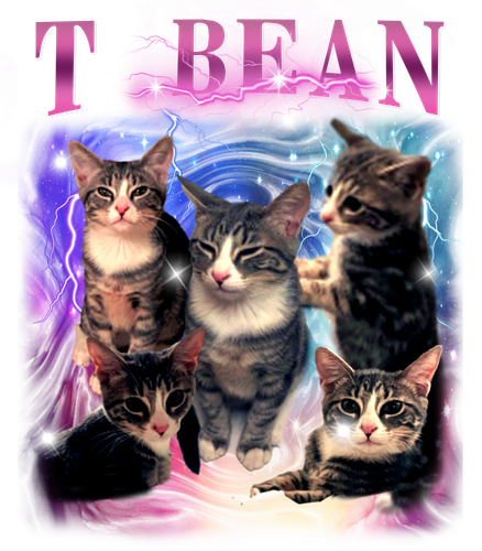 t beans.png