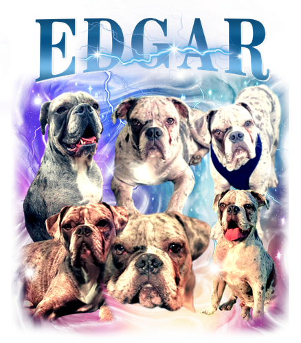 edgar.png