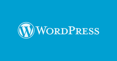 How-to-built-your-website-on-wordpress-a-user-friendly-guide.jpg