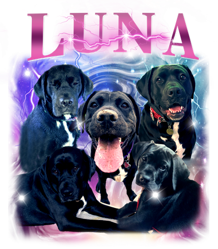 luna 1.png