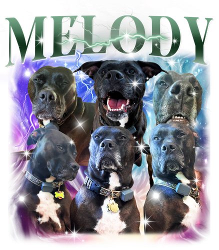 MELODY.png