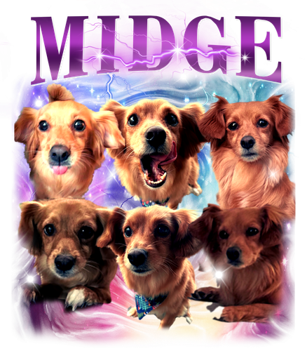 midge.png