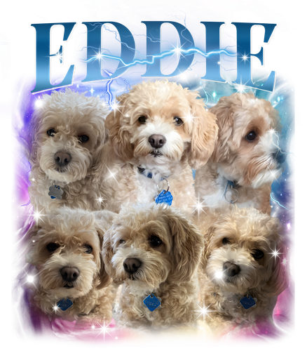 3135015794 (pau).png