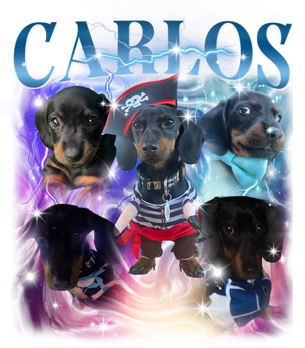 Carlos.png