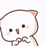 ezgif.com resize.gif