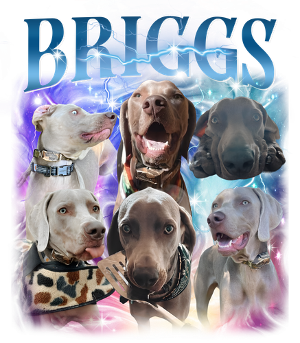Briggs 1.png