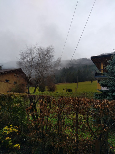 img 20231221 121938.jpg