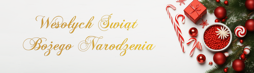 Banner with text and icon for with Christmas decoration of twigs and candy canes on a white backgrou.png