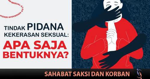 tindak pidana kekerasan seksual apa saja bentuknya.jpg