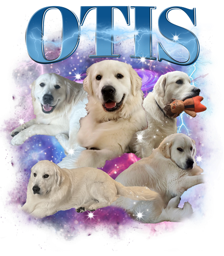 3155808782.png