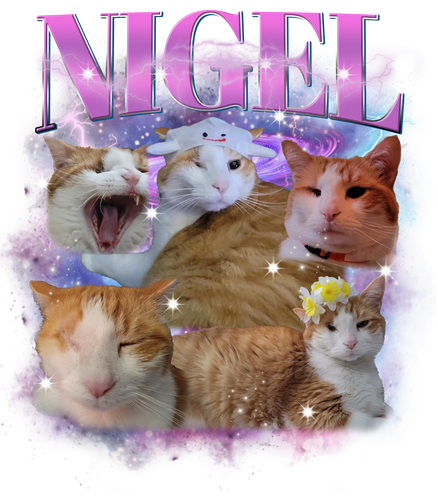 3145819395.png
