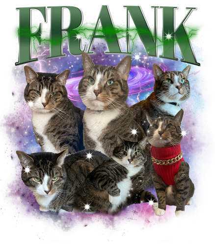 3153024108.png
