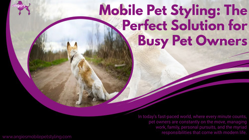Mobile Pet Styling The Perfect Solution for Busy Pet Owners.jpg