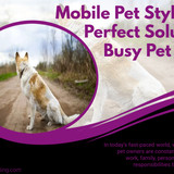 Mobile Pet Styling The Perfect Solution for Busy Pet Owners