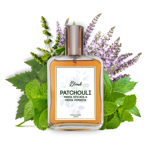 Masculino Patchouli Menta Menta Spicata Menta Piperita (2).png